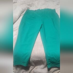 Torrid Studio Jelly Bean Green Pants Size 14